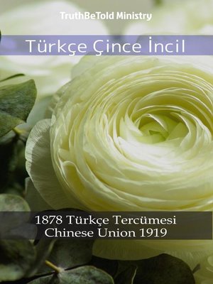 cover image of Türkçe Çince İncil